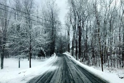 Snow day fun