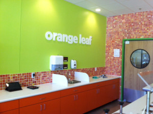 Photo credit Matt Caire.
Stop by the new Orange Leaf in Amherst for a tasty treat
