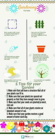 5 steps to the perfect garden