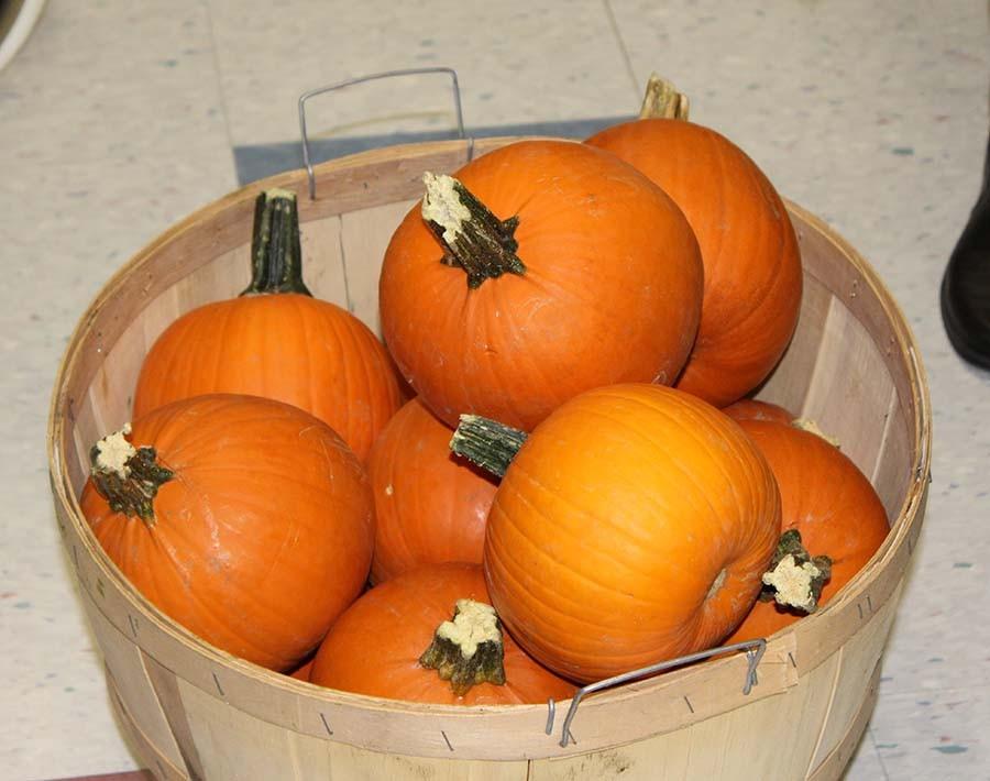 Pumpkin+bucket