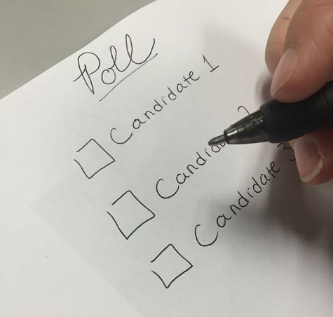 The value of the vote
