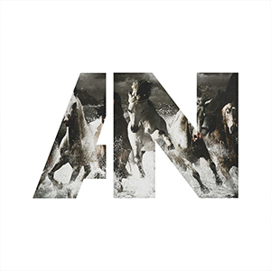 AWOLNATIONs Album Cover for Run