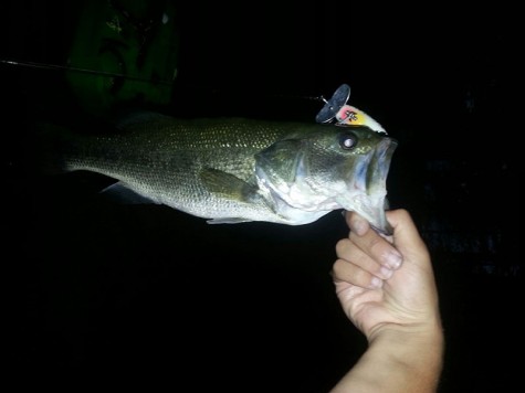 HB looks to join local schools like Milford and Bishop Guertin by having a bass fishing team in the fall.