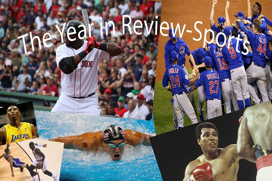 Year in review: sports top 7