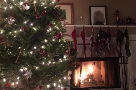 Holiday Joy