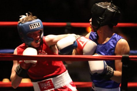 HB student looks to knock out the competition