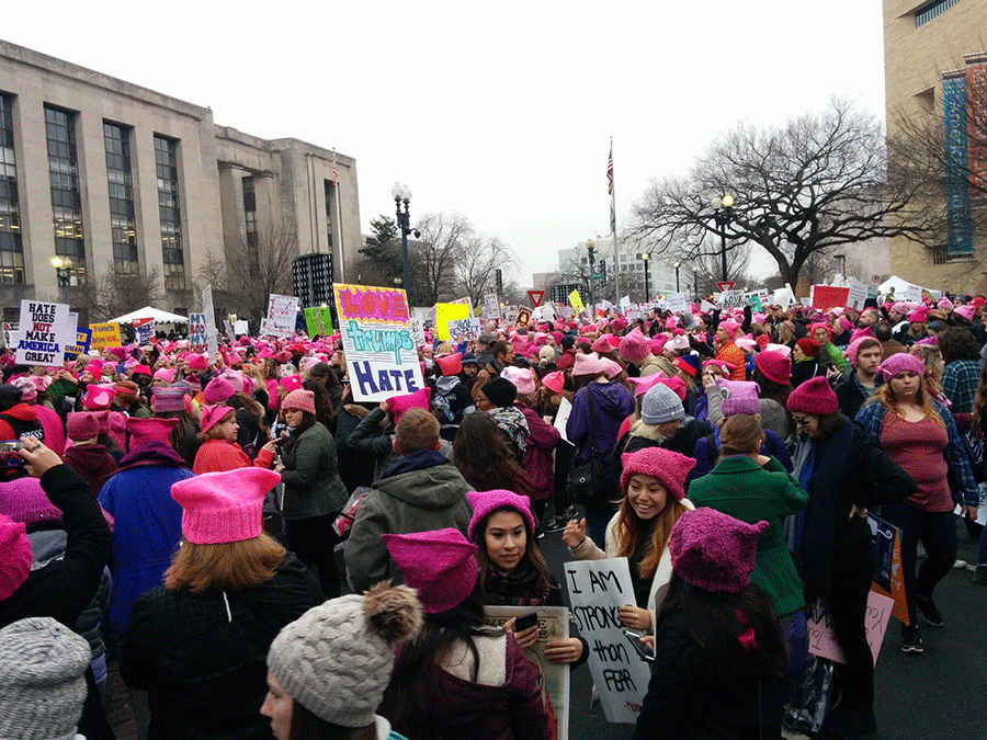 A scene from the D.C. march