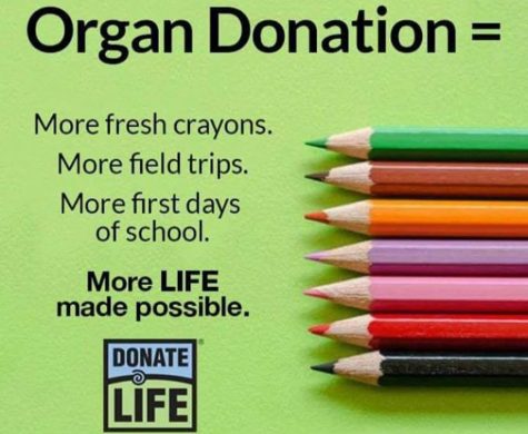 Donate Life: you can’t take them with you