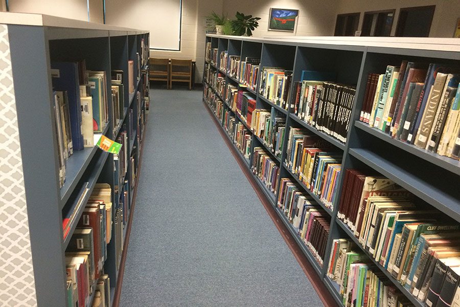 The ever familiar bookshelves of the library.