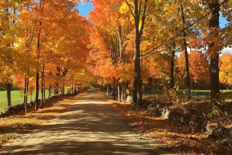 Top 5 places for foliage viewing this fall