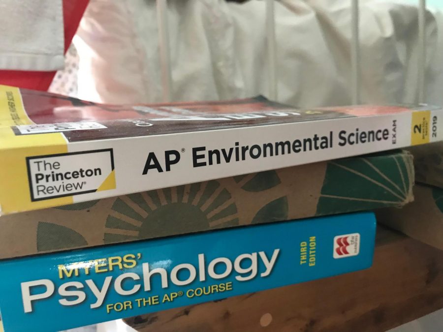 In order to prepare for AP Exams, many students use AP Prep books that include practice tests, chapter summaries, and strategy tips. Depending on the class, students were either given these books or had the choice to individually purchase the book on their own. “In Physics, we had time to go over material throughout the year and we had books provided that we could go through,” said Jordan. 