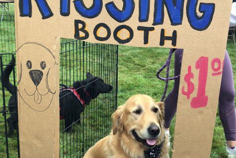 Old Home Days fundraising: is it worth it?