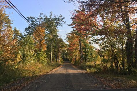 The fall appeal