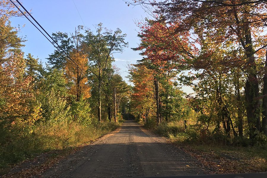 Leaves are changing and dropping all around New Hampshire, setting the scene that leads us into the beautiful season of Autumn. “How could you not love it?” said Sattler ‘20
