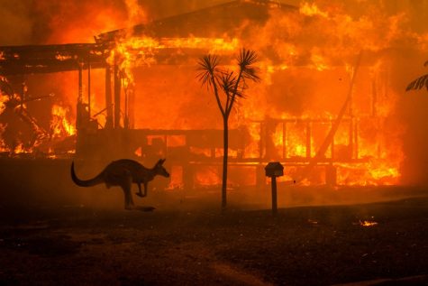 The effects of the devastating Australian fires