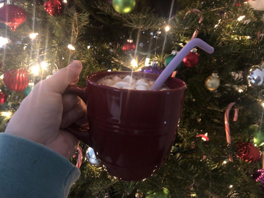This warm cup of hot chocolate is filled with Swiss Miss powder, water, and marshmallows. Sit back relax and enjoy a nice cup of hot chocolate in your home this holiday season. “I always love a nice cup of cocoa while watching Christmas movies,” said Roy 21.’
