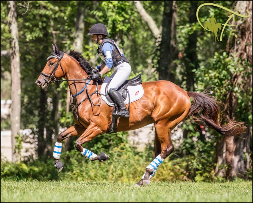  Emma Armstong competing on her horse. The horse she is on is running through a course. “I would like to make a name for myself through competing and continuing my riding education,” said Armstong ‘21. 