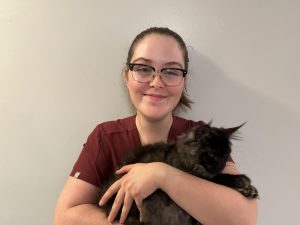 CTE Student Cait Engle ‘25, dressed in scrubs, holds a cat.  Cait Engle is participating in a Veterinary Science Career Technical Program at Alvirne High School.  “We get to work with all of those small animals and learn about the different care and behavior associated with each one,” said Engle.
