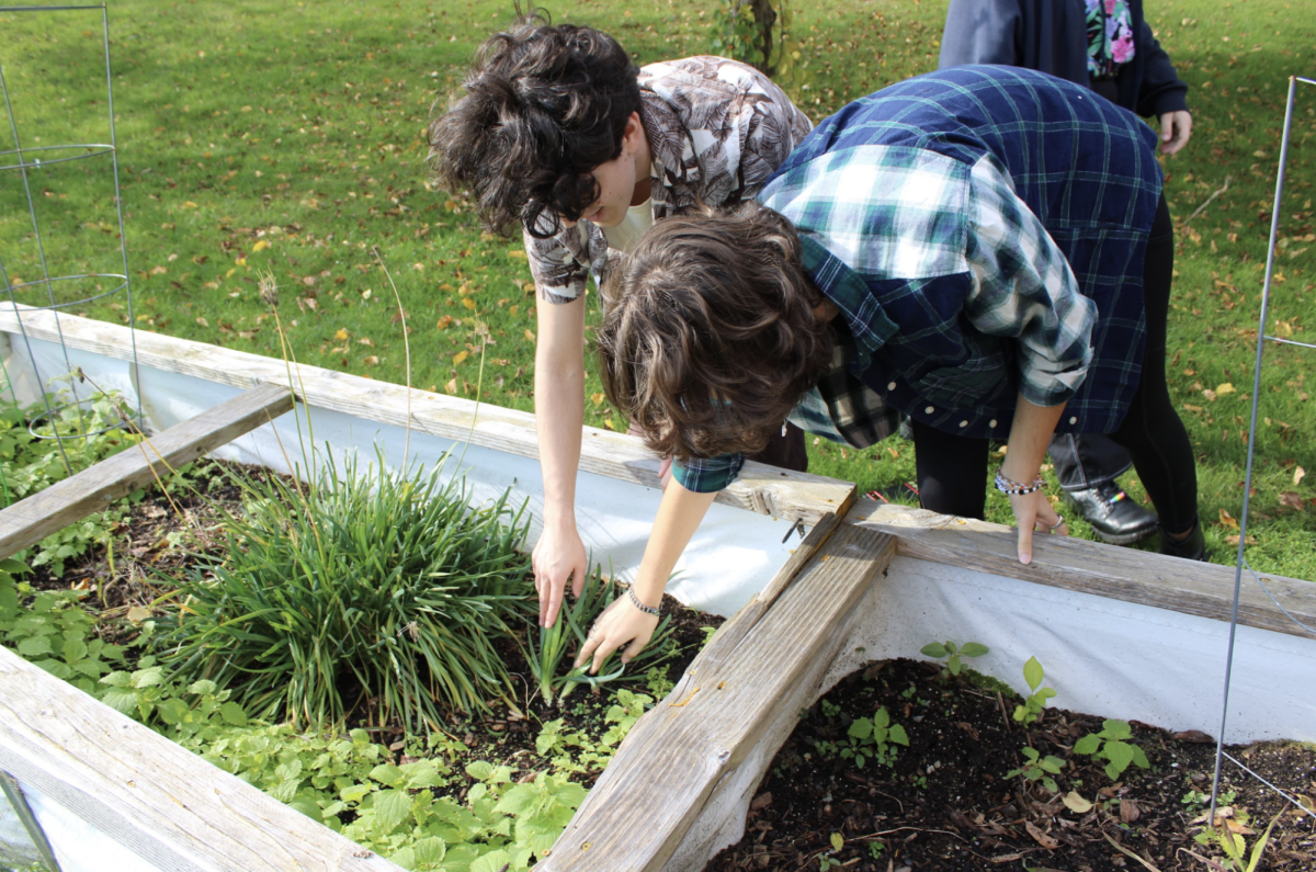 Green Group students Mark Croteau ‘25 and Adrienne Rosenblatt ‘25 work hard in HB’s on-campus garden. The students describe the garden as a “safe space” for the plants, and students to grow. “Join us, you’ll love it, says Croteau. 