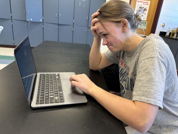 Maia Arthur ‘25 stresses out on her computer over her heavy course load. Arthur, currently in her junior year, is enrolled in multiple AP and honors classes. “I think a majority of my time is taken up with studying, which really takes a toll on my mental health,” said Arthur.