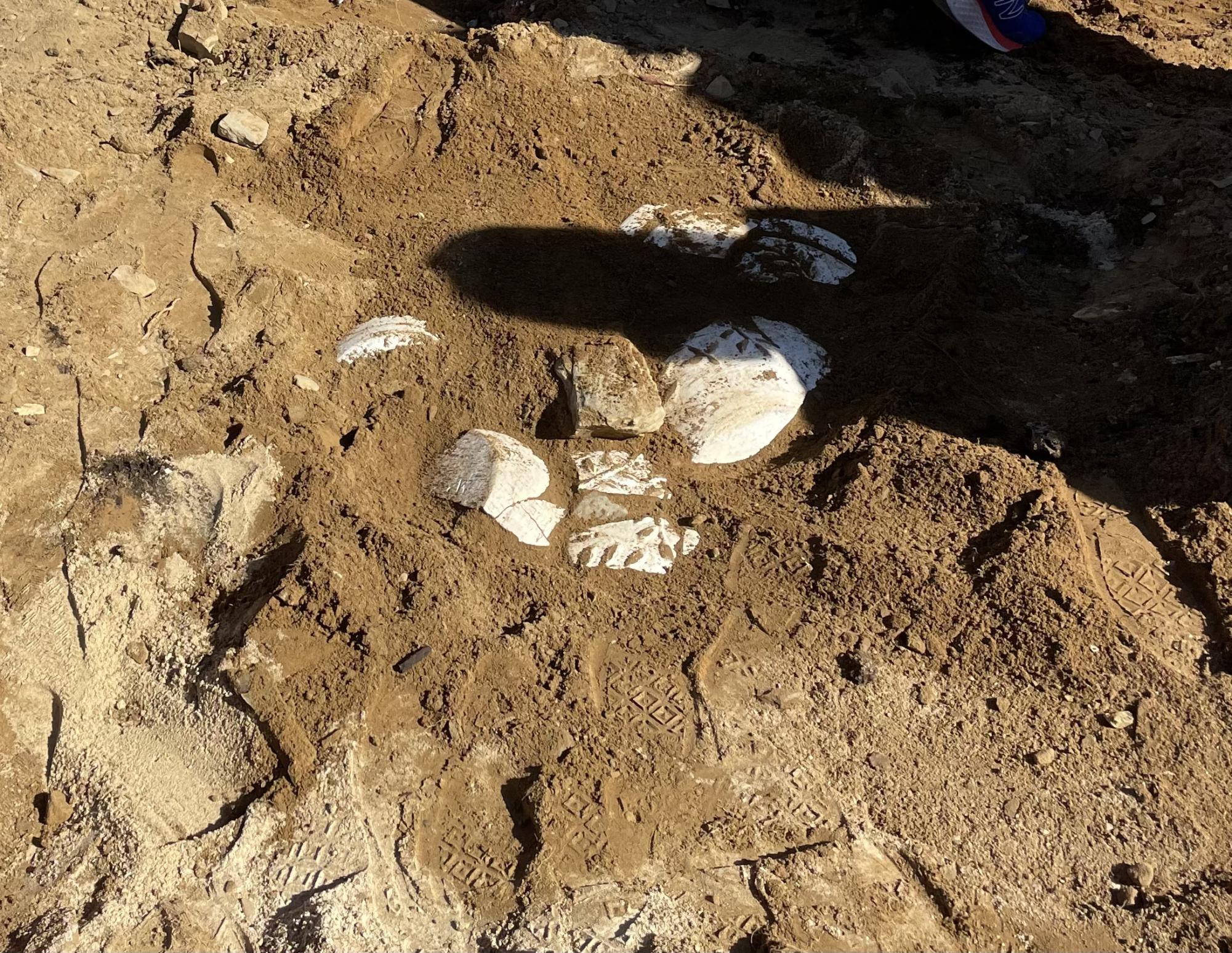 Hands-On History: First High School Archaeology Class in New Hampshire